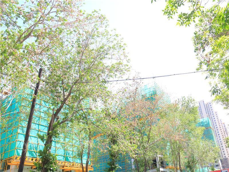 彩云名邸实景图
