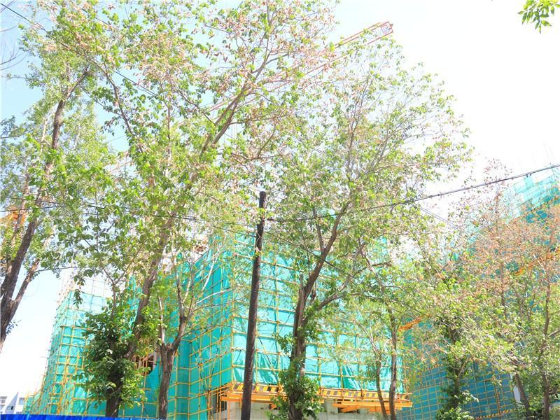 彩云名邸实景图