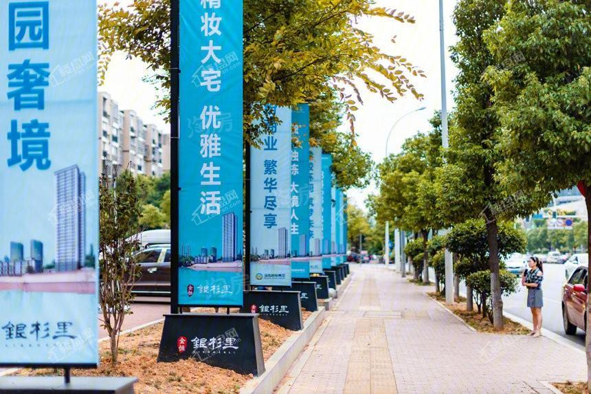 金恒银杉里实景图