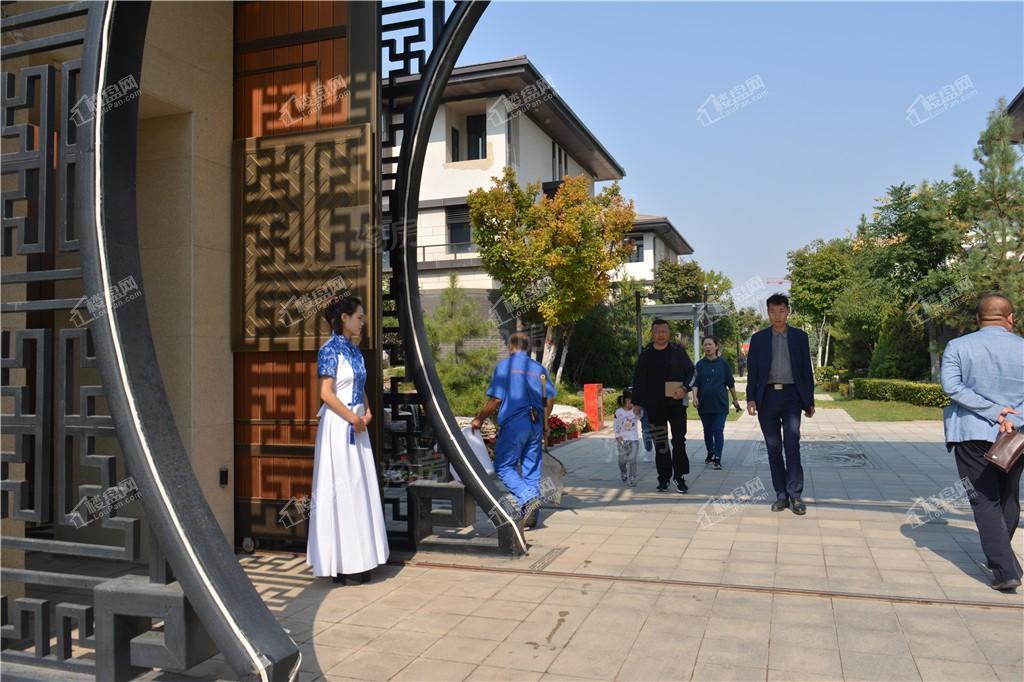 东河·院子实景图