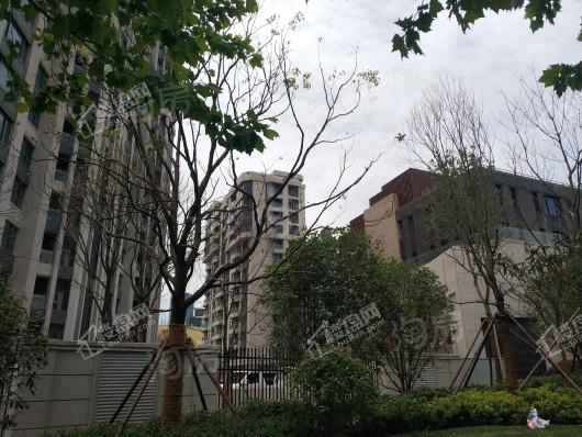邑滨江实景图