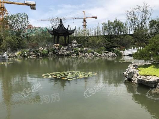 泰禾海上院子实景图