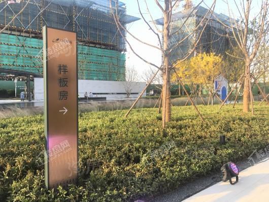 碧桂园凤凰城实景图
