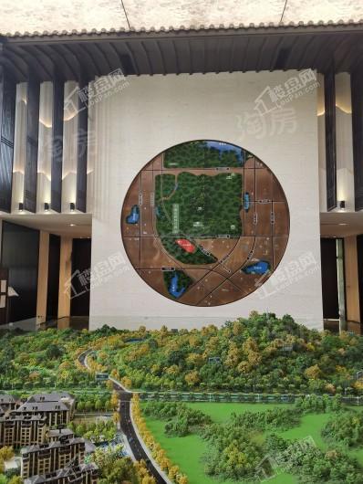 华邦蜀山别院实景图