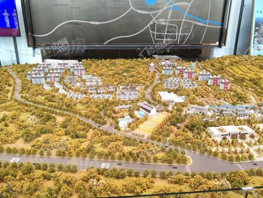 富力西柏水镇实景图