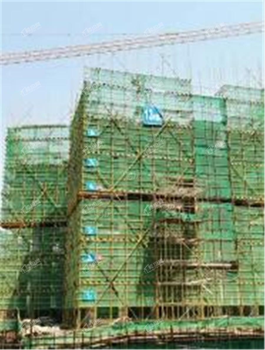 新城·悦隽风华实景图