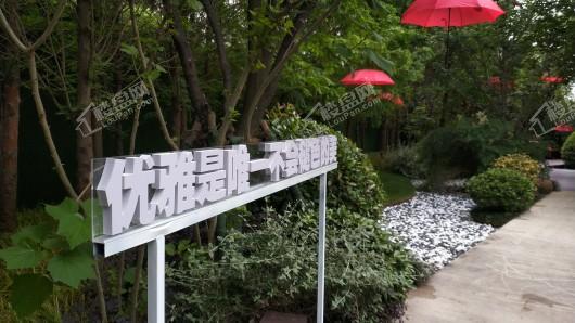 金地都会C区实景图