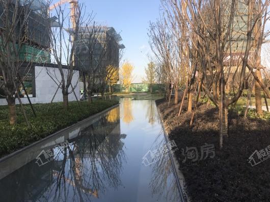 碧桂园凤凰城实景图