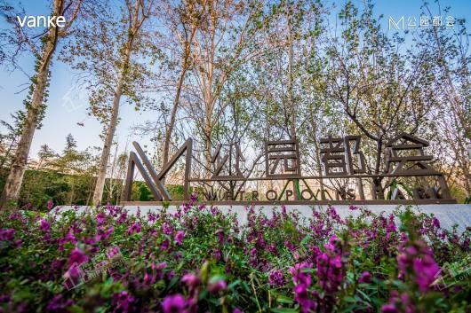 嘉实·万科公园都会实景图