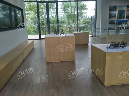 富力西柏水镇实景图