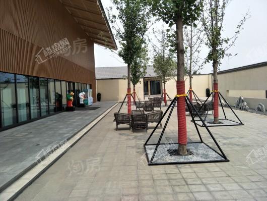 富力西柏水镇实景图