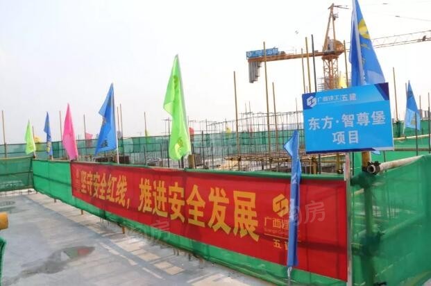 东方尊府实景图