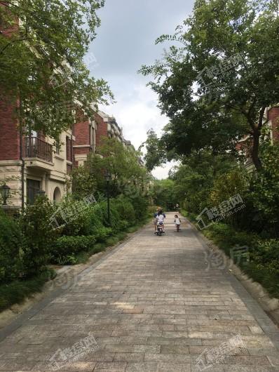 同润玫瑰园实景图