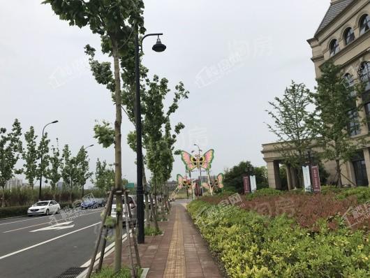 新华御湖庄园别墅实景图