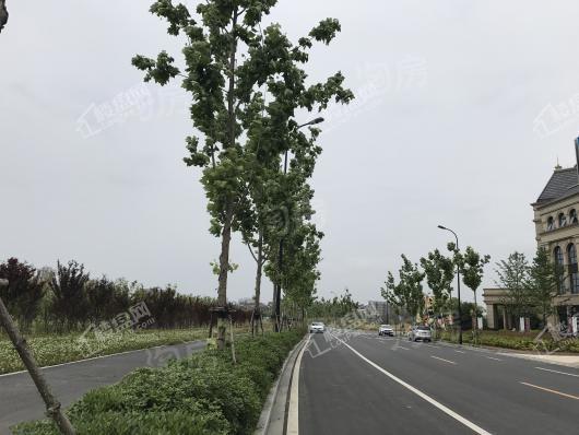 新华御湖庄园别墅配套图