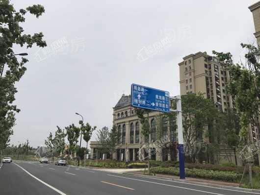 新华御湖庄园别墅配套图