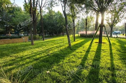 嘉实·万科公园都会实景图