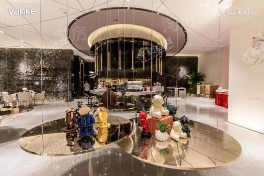 嘉实·万科公园都会实景图