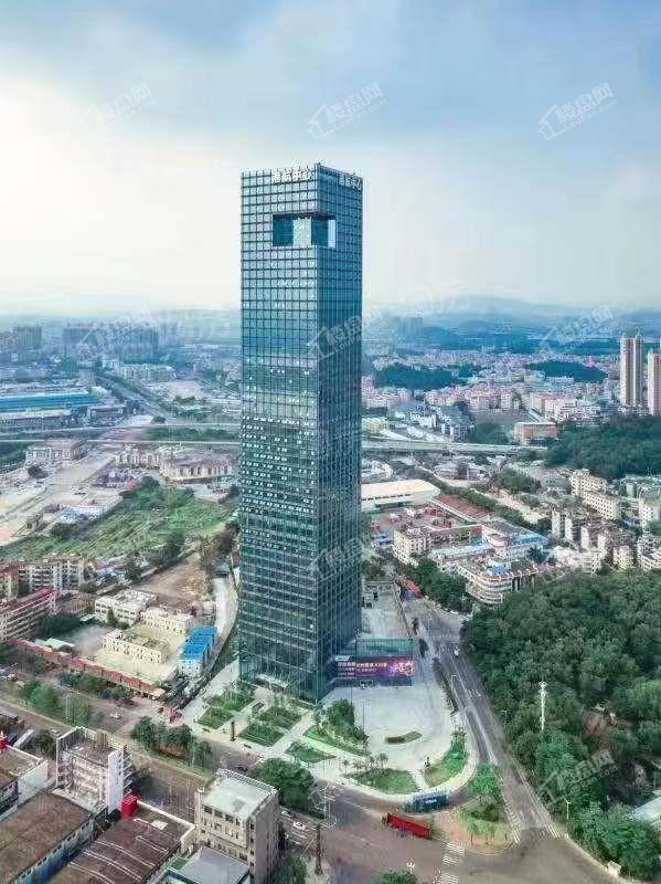 港航中心实景图