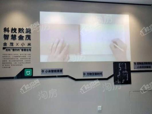 大兴金茂悦实景图