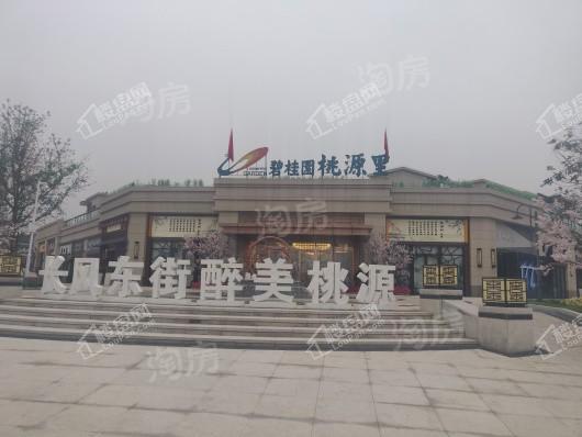 碧桂园桃源里实景图