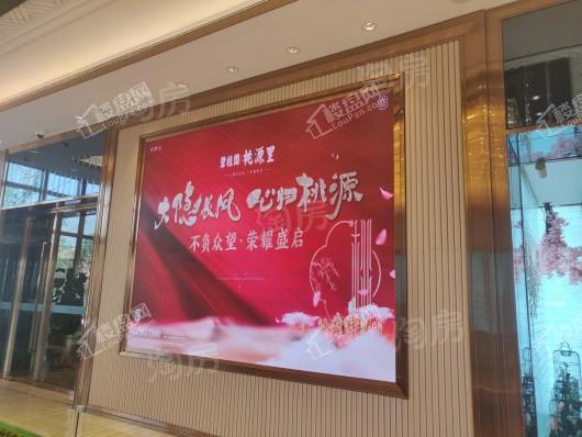 碧桂园桃源里实景图