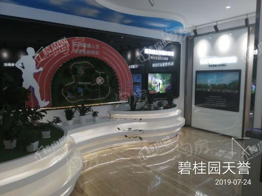 碧桂园天誉实景图