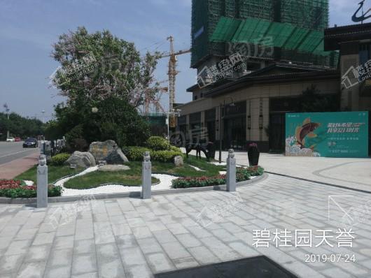 碧桂园天誉实景图