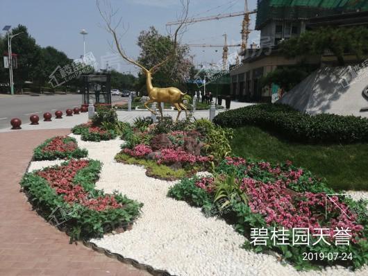 碧桂园天誉实景图