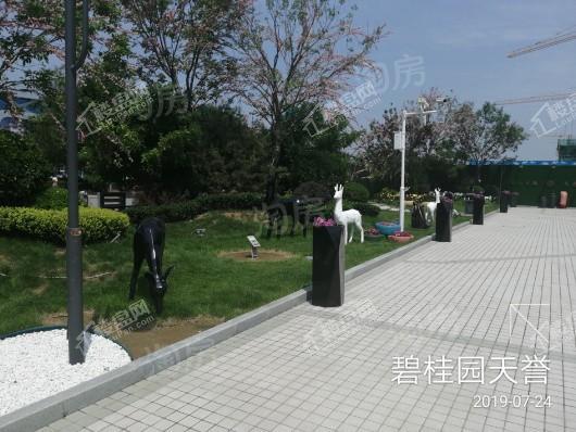 碧桂园天誉实景图