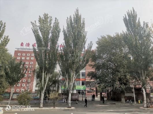 远鹏香林郡实景图