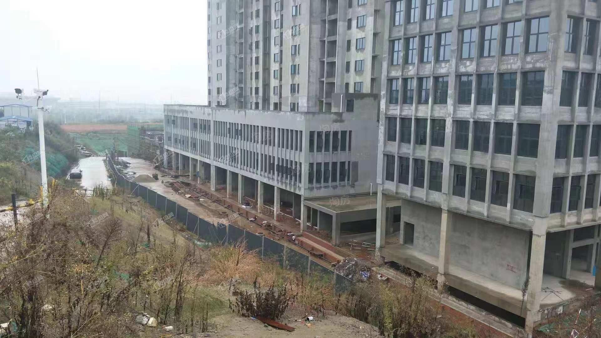 实景图