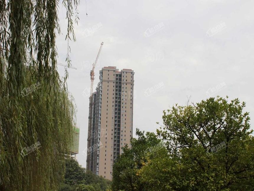紫鑫中央广场实景图