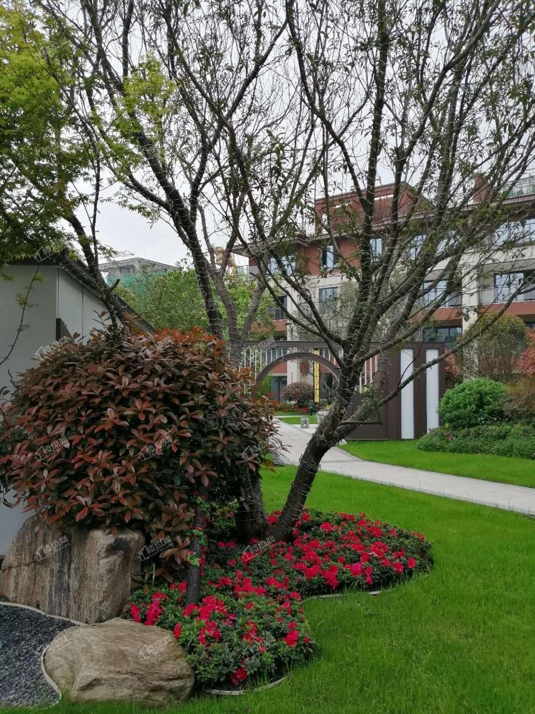 碧桂园·翘楚棠实景图