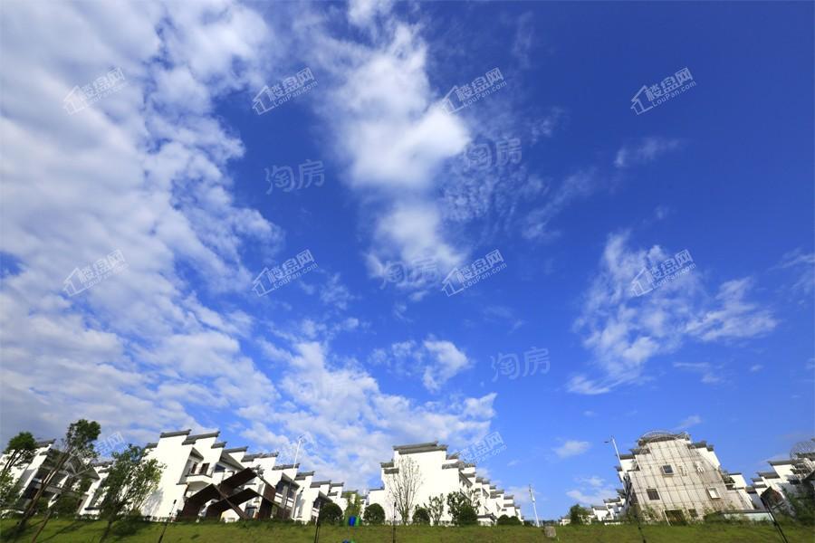 实景图