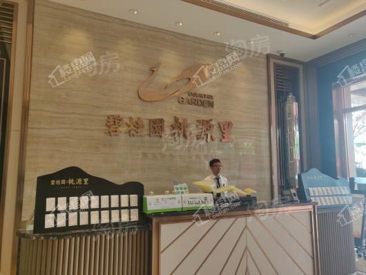 碧桂园桃源里实景图
