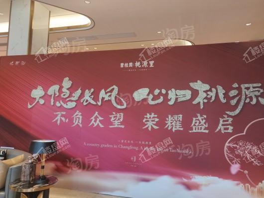 碧桂园桃源里实景图