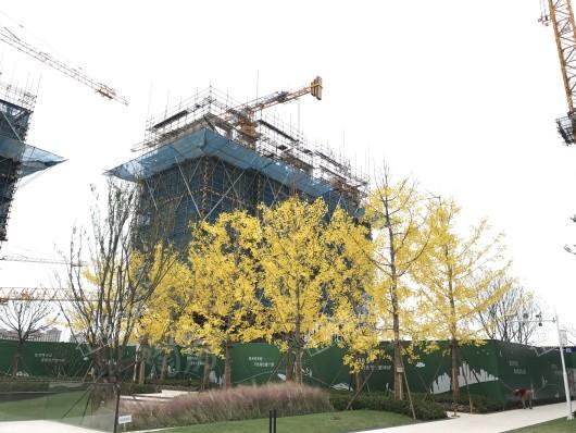 碧桂园凤凰城实景图