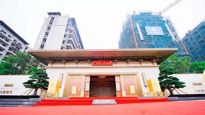 大唐臻观实景图
