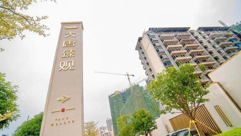 大唐臻观实景图