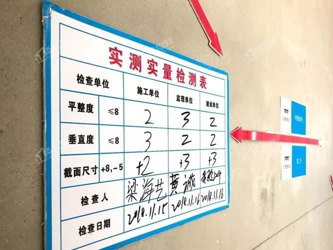 大唐臻观实景图