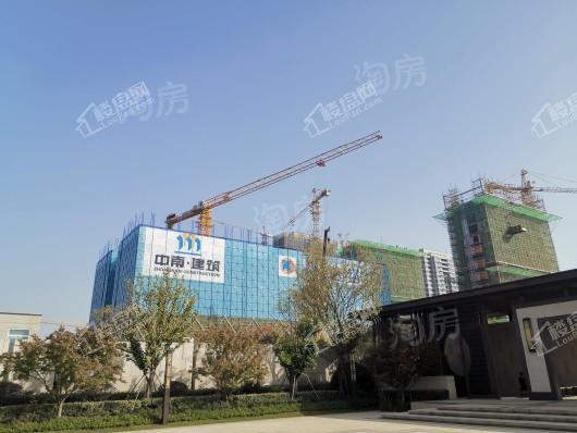 招商·雍华府实景图