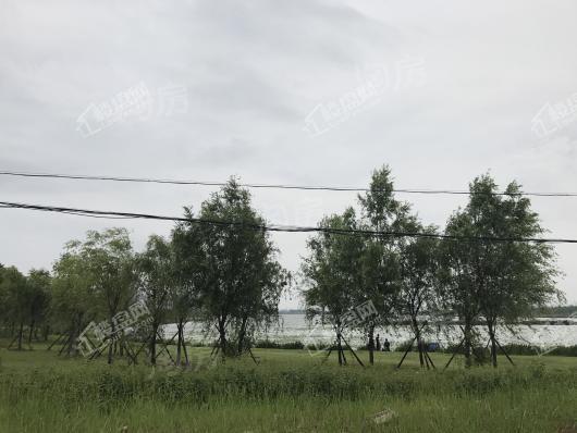 新华御湖庄园别墅配套图