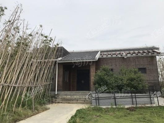 新华御湖庄园别墅配套图