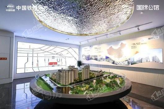 中国铁建·国际公馆实景图