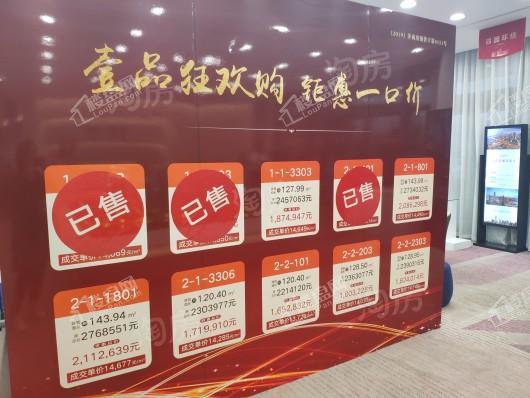 富力壹品实景图