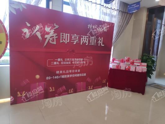 棕榈西园实景图