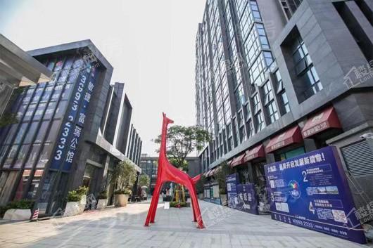 实景图