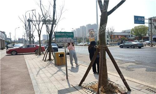 蓝光雍锦半岛配套图