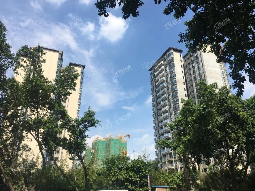 碧桂园藏珑府实景图